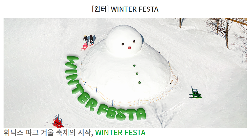 WINTER FESTA