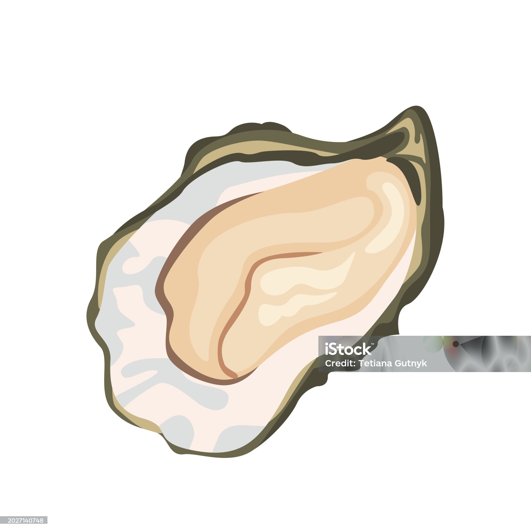 굴, 노로바이러스, 노로, 석화, 생굴, 장, 구토, 설사, 복통, 미열, 두통, 탈수