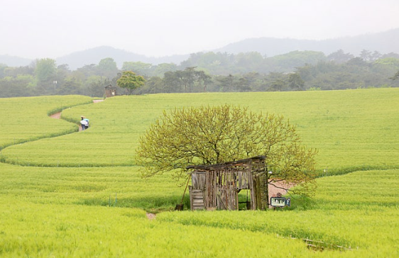 5월 국내여행지 베스트