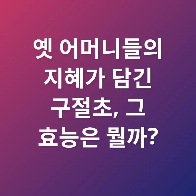 구절초_1