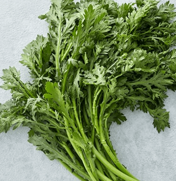 쑥갓 쑥 차이점 효능 먹는 법