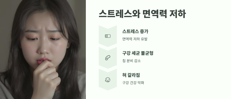 혓바닥이 갈라지는 이유 쉽게 정리 4