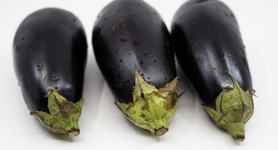 채소 가지 사진 - 1