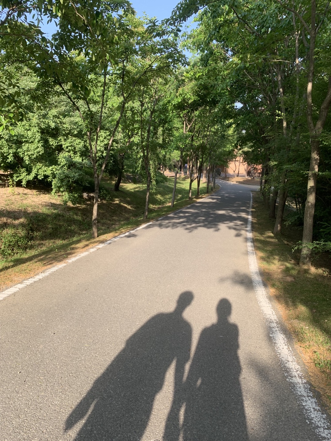 오산 물향기 수목원 그림자