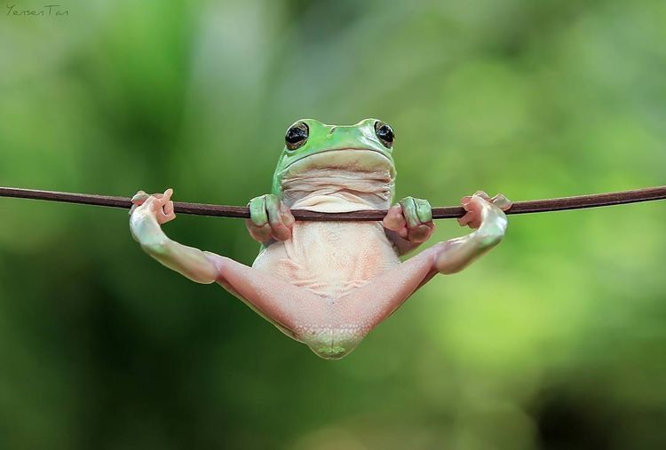 경칩