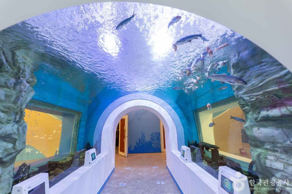 장흥 가볼만한곳 베스트10