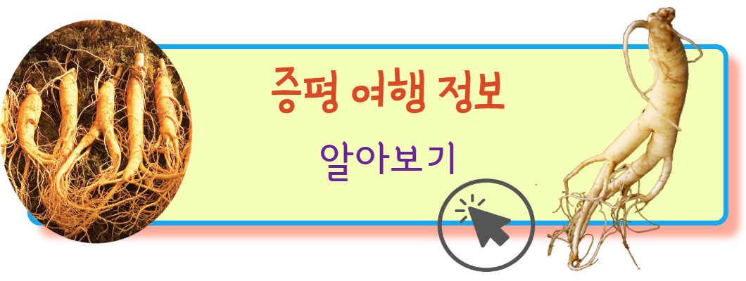 증평여행정보
