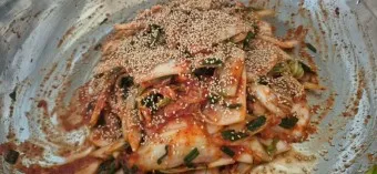 겉절이 맛있게 담그는 법 겉절이 김치 황금 레시피_17