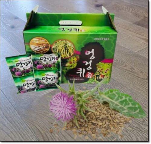 엉겅퀴즙