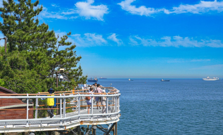 송도 용궁구름다리