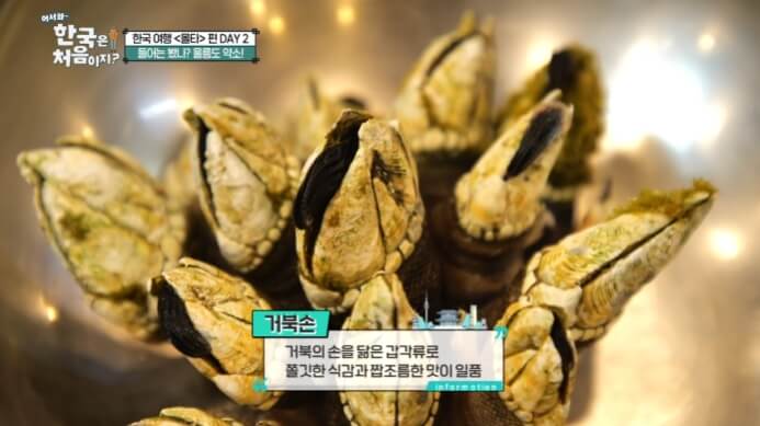 거북손