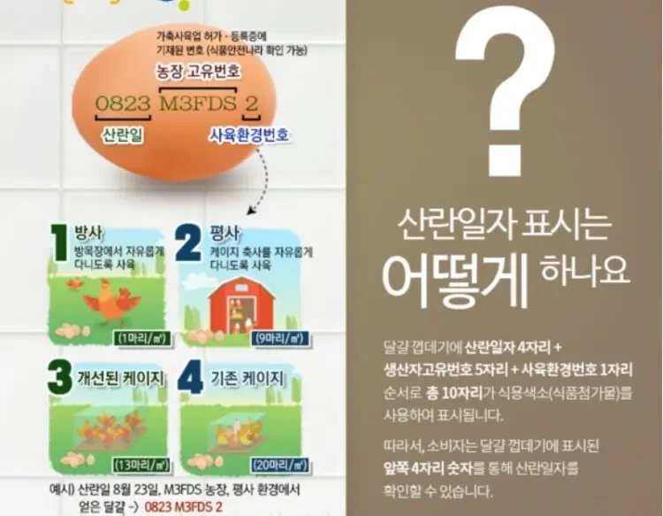 난각번호 1번 달걀