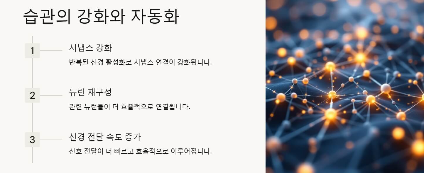 습관의 중요성
