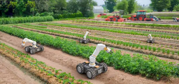 농업용 로봇의 딥러닝 알고리즘 적용 사례