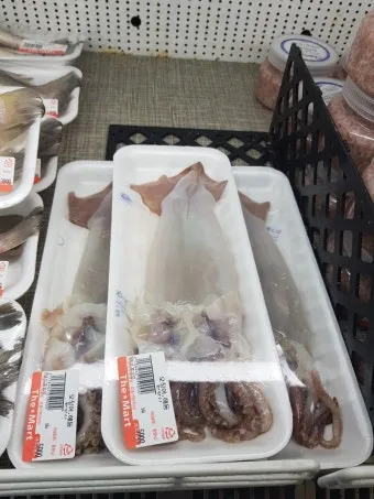 오징어 단백질 함량과 건강에 좋은 이유_9