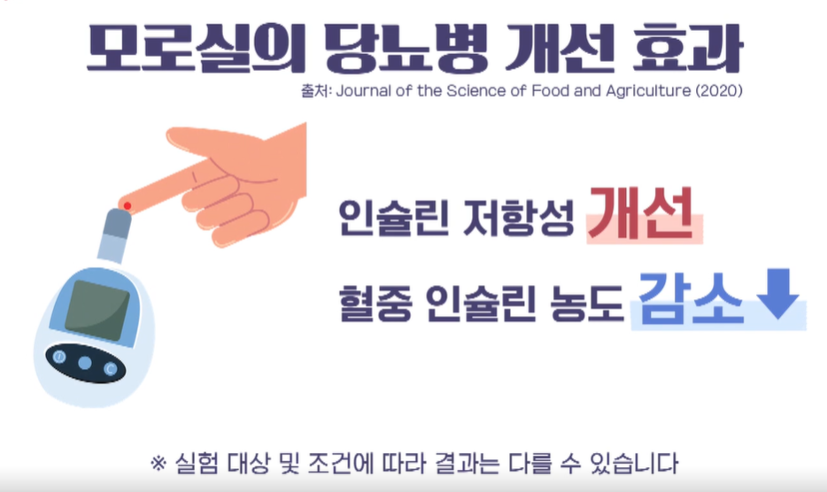 모로실 효능