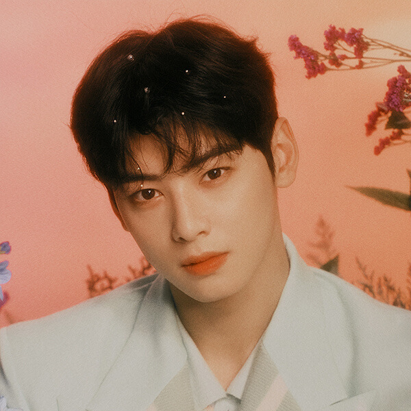 차은우 프로필, 동생, 군대