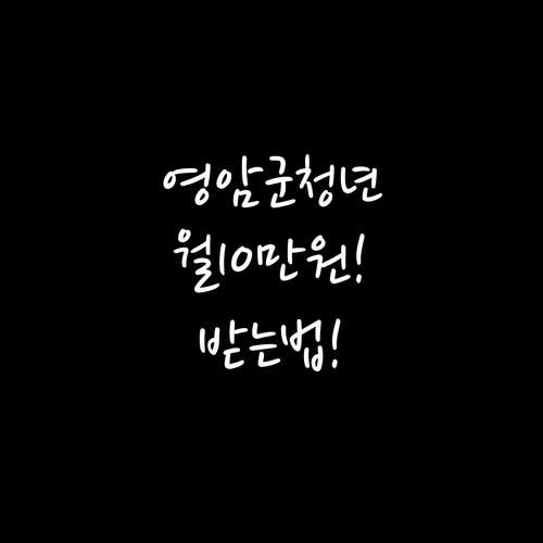 영암군 청년 주거비 지원, 월 10만..