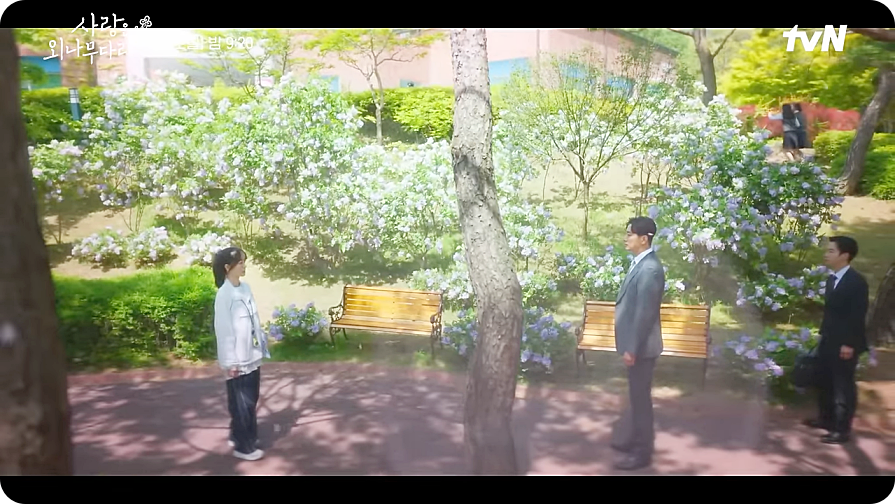 사랑은 외나무다리에서