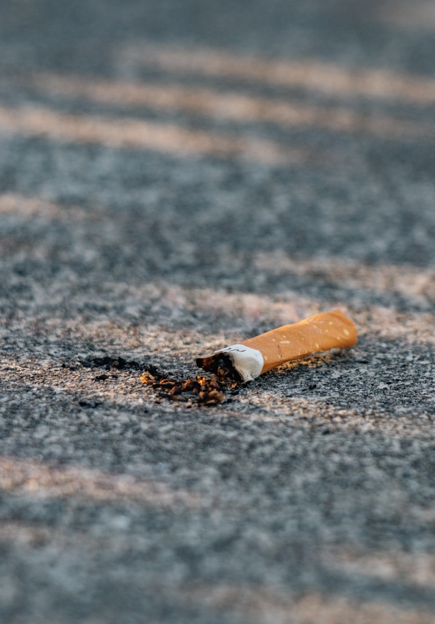 임산부 흡연과 태아건강 관련 이미지