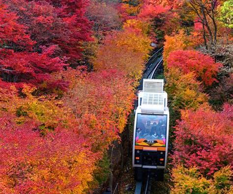 화담숲 예약 경쟁 피하는 법｜조용히 즐기는 시간대 공개