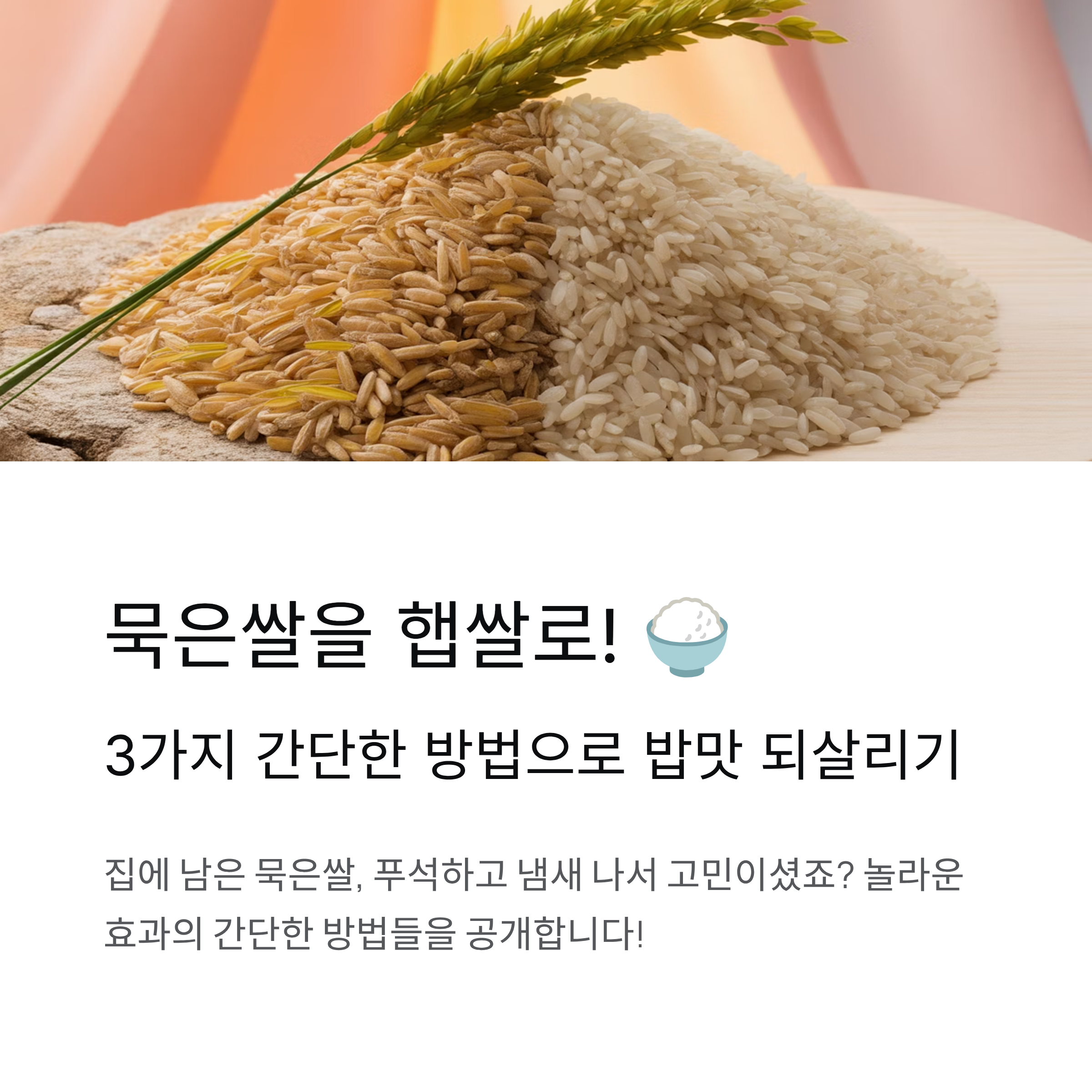 정말 간단한데 놀라운 효과! 묵은쌀 햅쌀로 만드는 3가지 방법