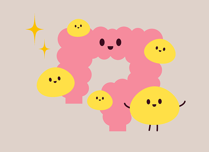 건강한-장의-모습