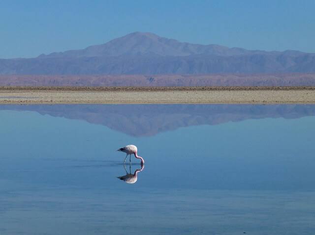 해수담수화 시설과 해양 미세플라스틱 제거 기술