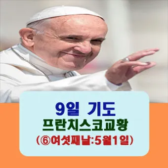 교황 9일기도문 함께 기도합시다_6