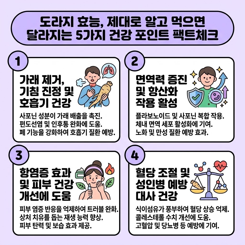 도라지 효능, 제대로 알고 먹으면 달라지는 5가지 건강 포인트