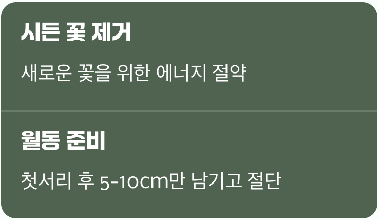 4. 꽃이 진 후, 가을의 미션