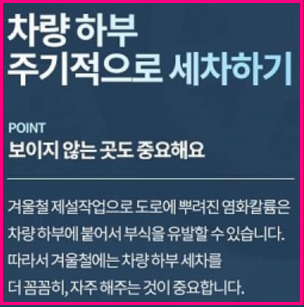 차량 하부 주기적 세차