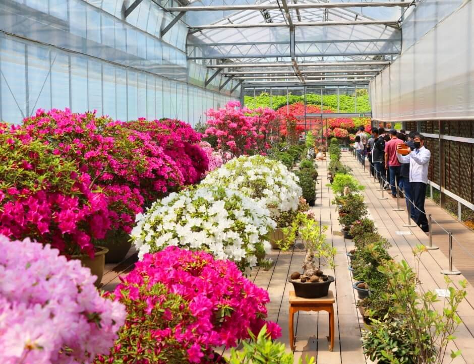 대전 세종 충청 4월 축제 일정