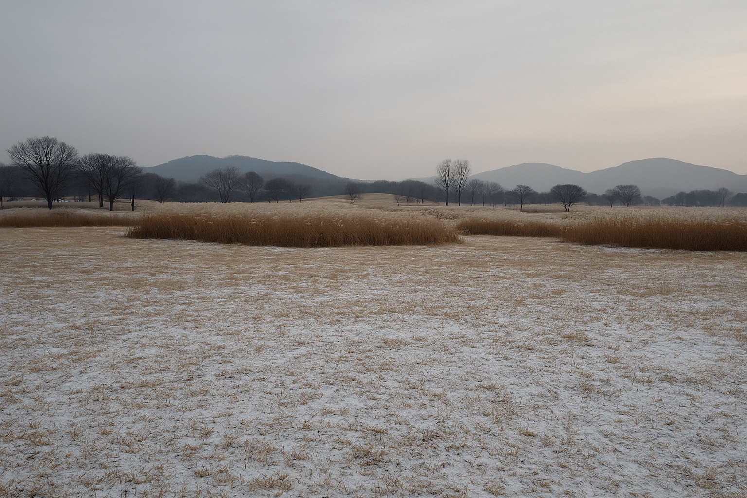 12월 겨울 양주 나리공원에서 즐기는 고요한 계절 산책과 자연 속 힐링 여행