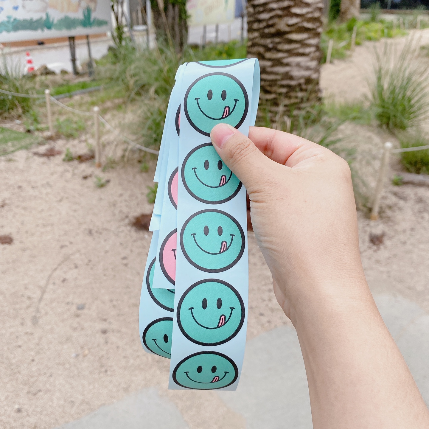 노티드 도넛 제주 애월 핫플레이스 우유크림 도넛 Knotted JEJU