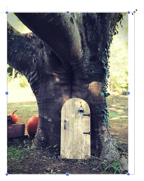 한글 그림 넣기 그림 삽입 연결