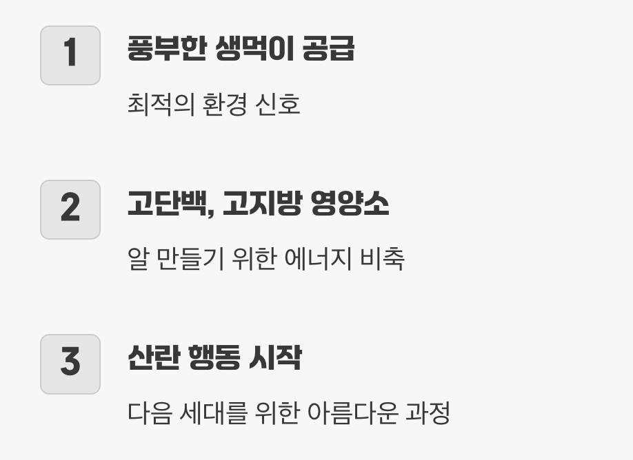 산란을 부르는 최고의 스위치