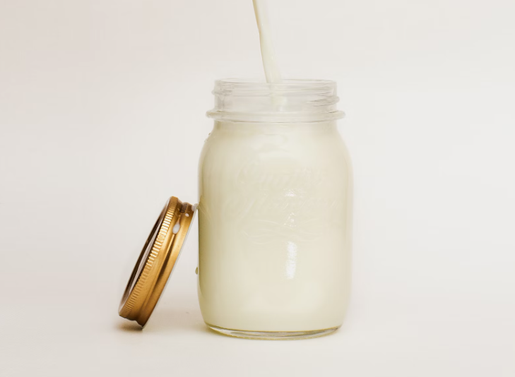 산양유 초유 단백질