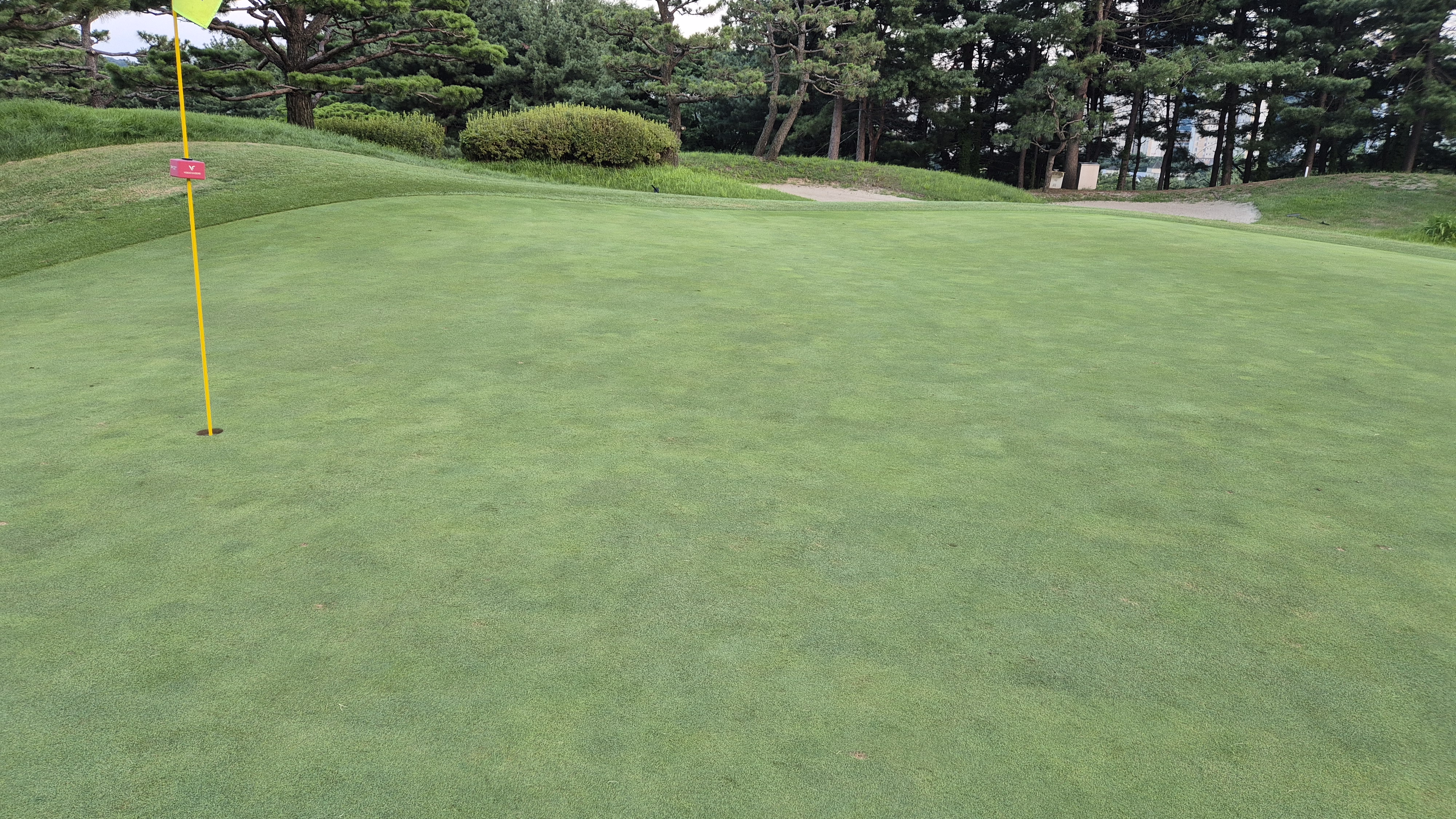 태광cc 북-서 코스 라운드 후기