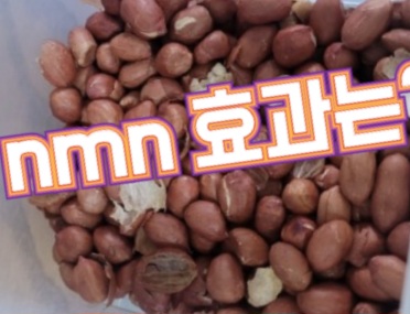 NMN-영양제-효능