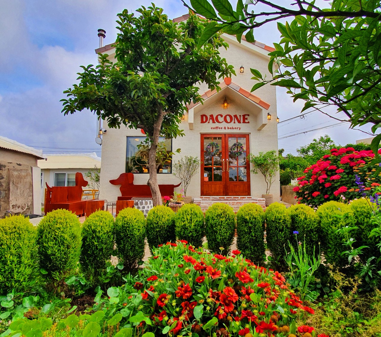 제주 다코네 카페