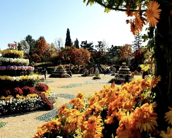 청남대 홈페이지 예약 접수_20