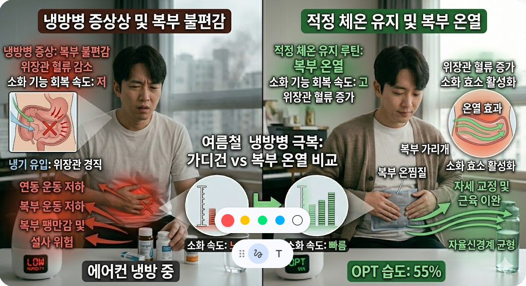 여름철 냉방병 예방을 위한 복부 온열 관리의 생리학적 기전과 소화 기능 회복을 위한 적정 체온 유지 전략