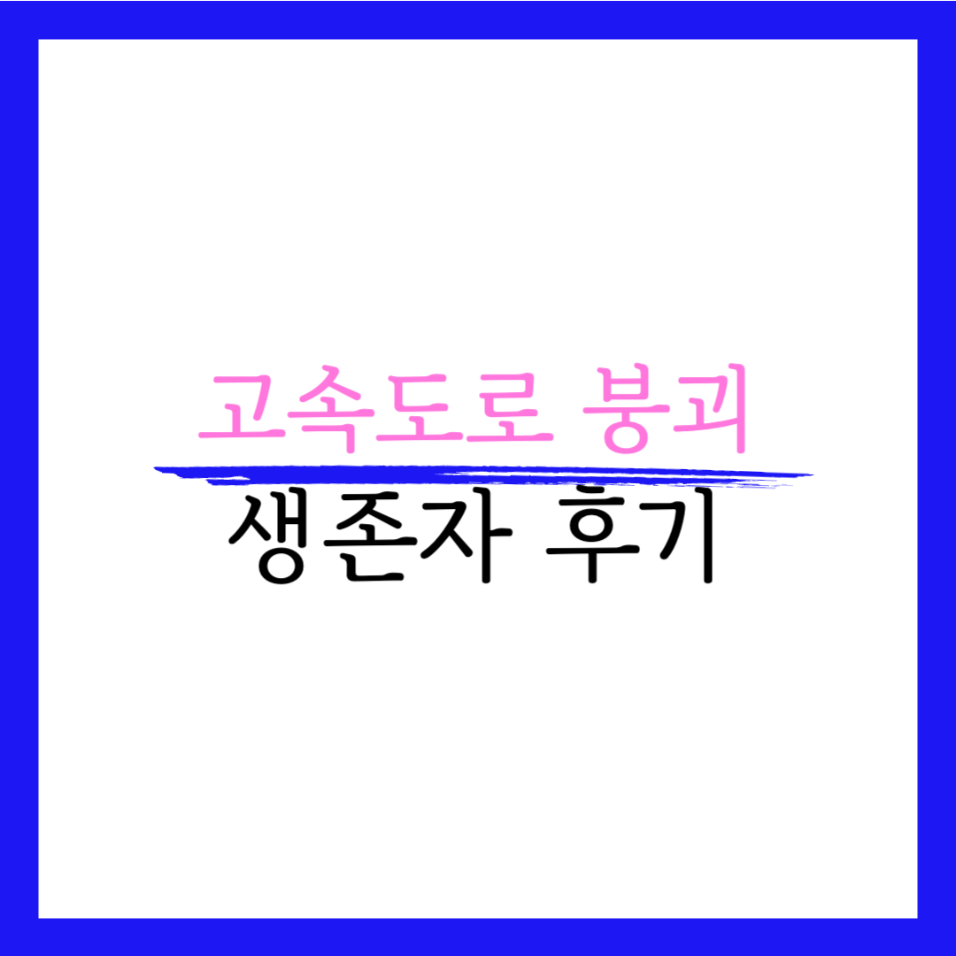 고속도로 다리 붕괴 생존자 흙더미가 살려 홈페이지