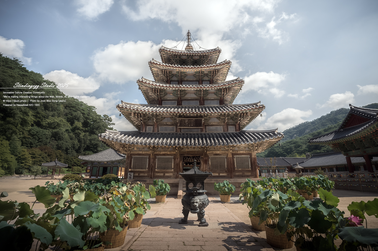 #보은 #속리산 #법주사 #사찰 #불교