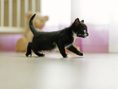 BDSM 테스트 성향 테스트 심층 심리테스트 아직도 안해보셨나요?