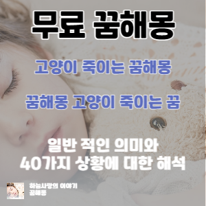 썸네일 사진