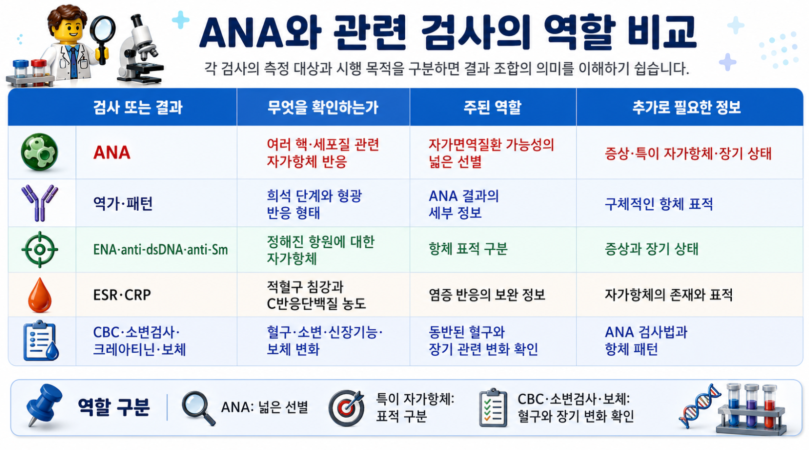 ANA와 관련 검사의 역할 비교: ANA, ENA, anti-dsDNA, CBC, ESR·CRP, 보체 검사의 역할을 비교한 레고 스타일 메디컬 인포그래픽
