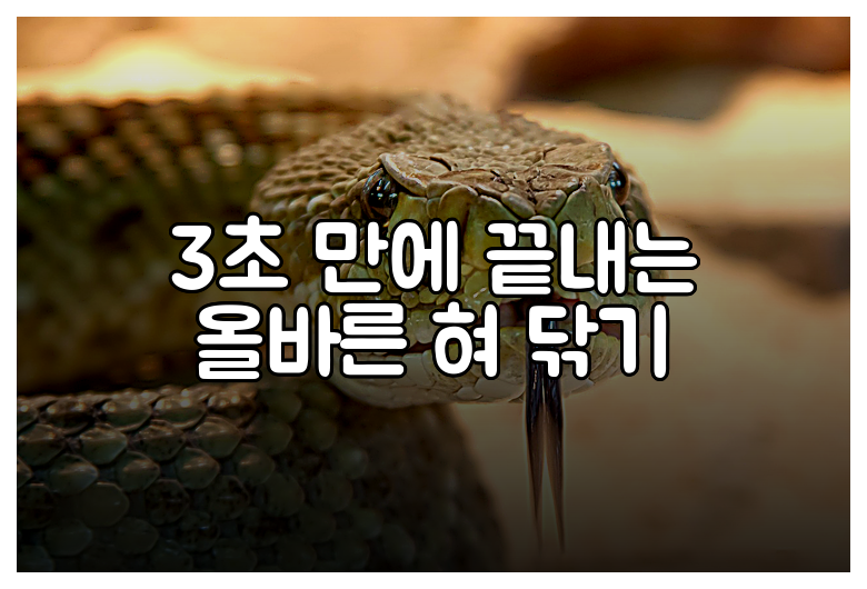 3초 만에 끝내는 올바른 혀 닦기