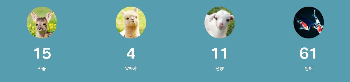 동물먹이주기 체험 동물들 안내